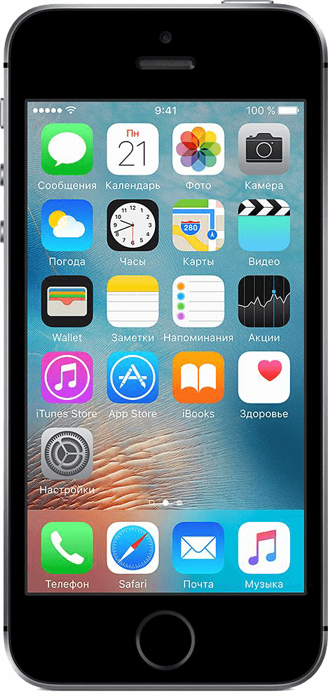 iPhone 5S