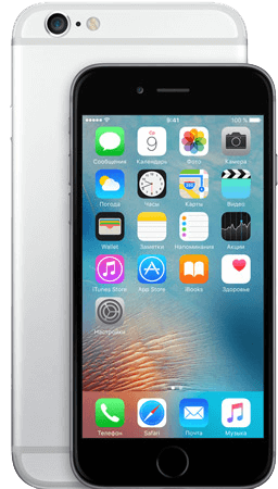iPhone 6+